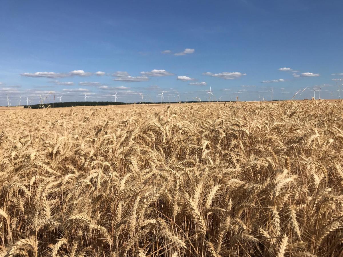 Les Bois De Champagne L'industriel Magnant
